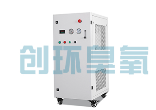 德阳石斑鱼养殖水质调控完整指南：臭氧发生器配置与操作步骤